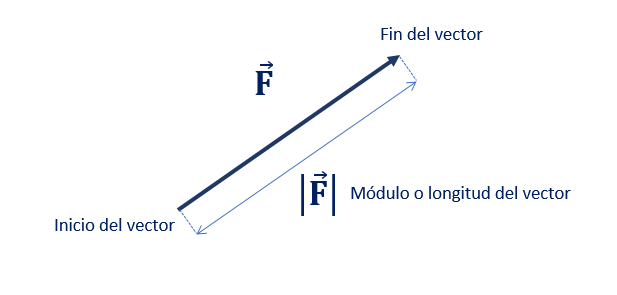 Esquema de un vector