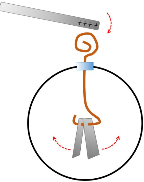 Distribución de cargas en un electroscopio