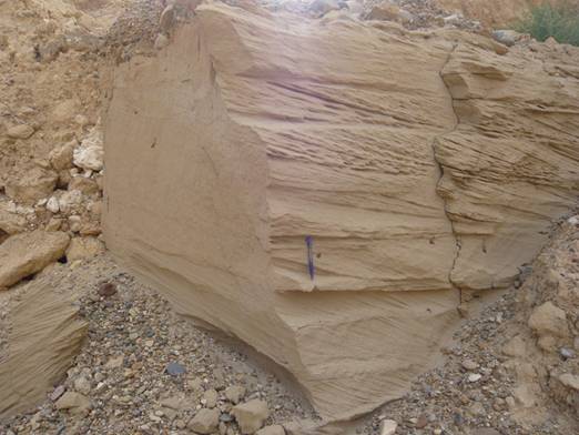 P1020142.JPG