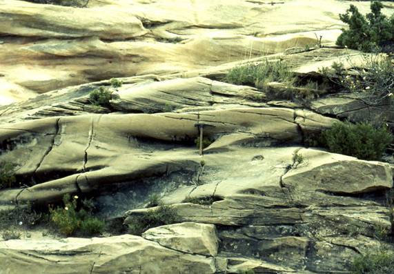 File0039.jpg
