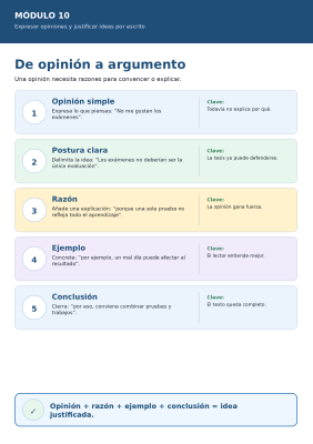 M10_infografia_opinion_justificada.png
